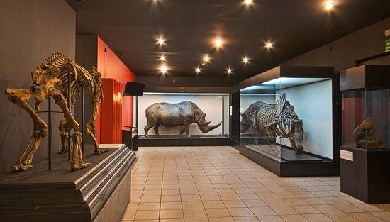 Muzeum Książąt Czartoryskich